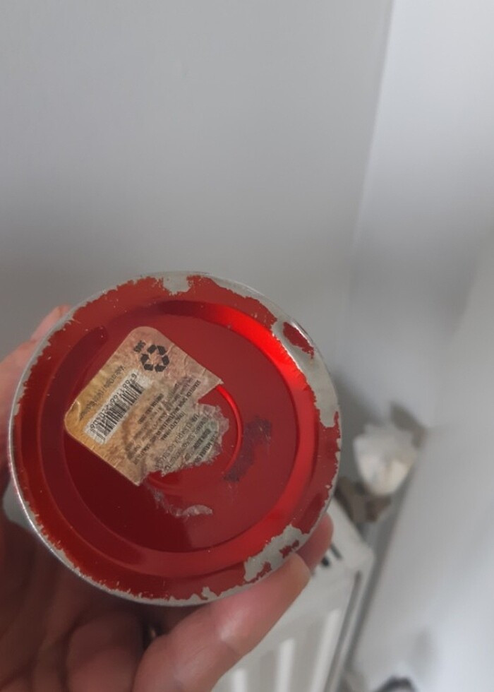 Diger suluk - Görsel 2