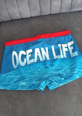 Renkli Baskılı Erkek Çocuk Deniz Şortu - Görsel 3