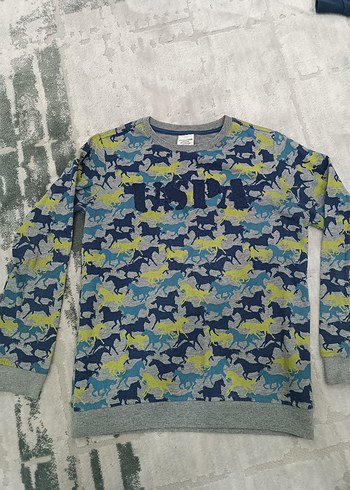 uspa polo Erkek Çocuk Gri Kısa Kollu Baskılı Sweatshirt - Görsel 3