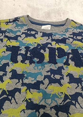 uspa polo Erkek Çocuk Gri Kısa Kollu Baskılı Sweatshirt - Görsel 4