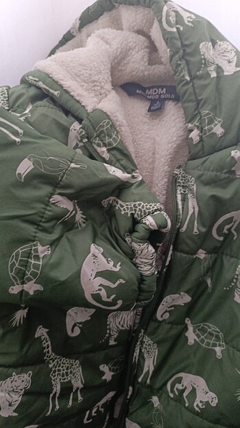 Kalın kaban - Görsel 3