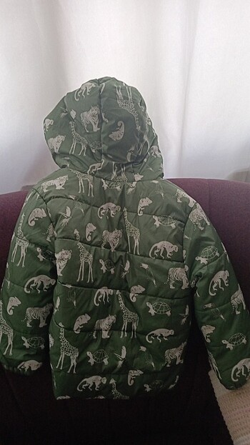 Kalın kaban - Görsel 4