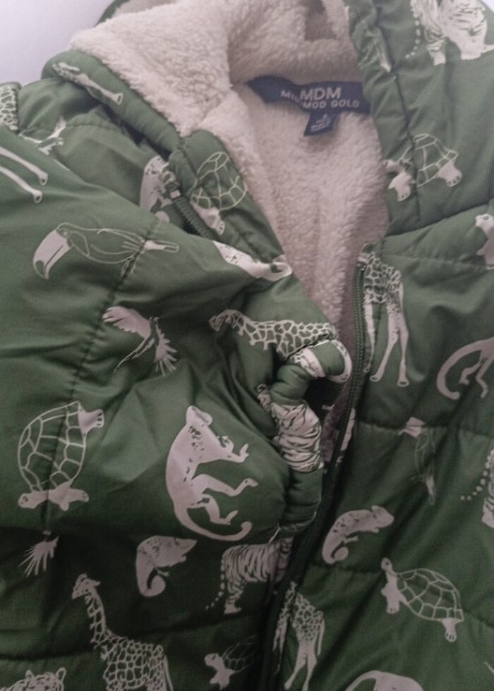 Kalın kaban - Görsel 3