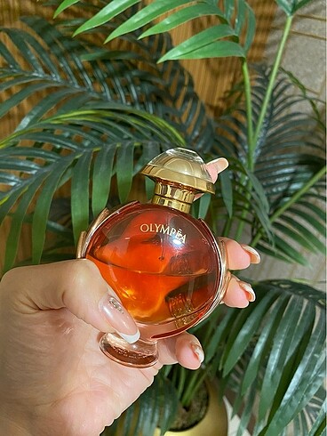 Beden Renk OLYMPE LEGEND 50 ML EDP