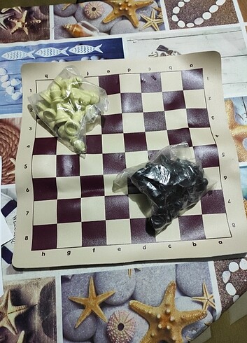 Satranç takımı  - Görsel 2