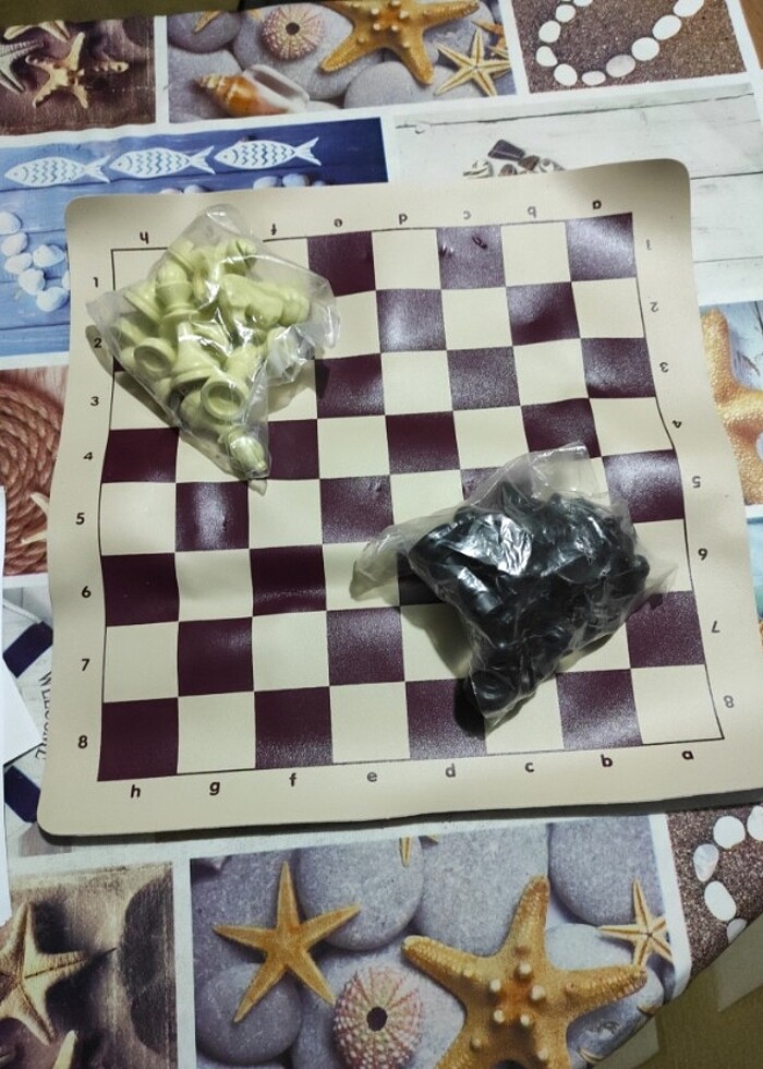 Satranç takımı  - Görsel 2