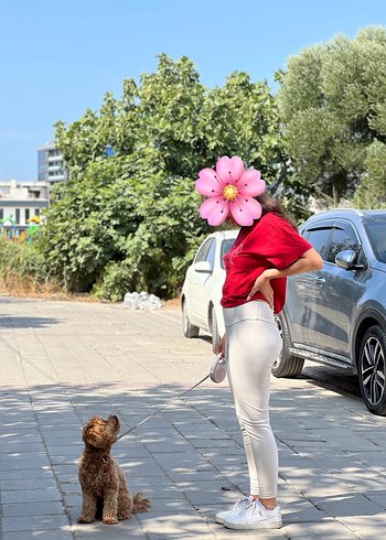Oysho Krem Tayt