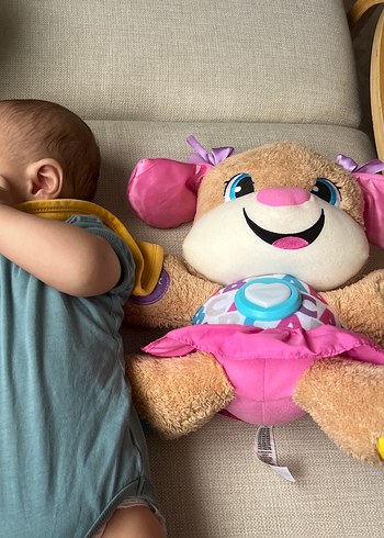 Eğitici Köpekçik Pembe Peluş Oyuncak