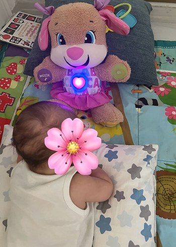  Beden Eğitici Köpekçik Pembe Peluş Oyuncak