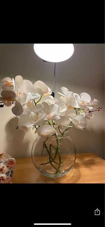 Islak orkide, yapay orkide çiçek