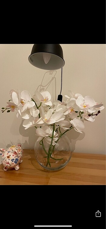 Diğer Islak orkide, yapay orkide çiçek