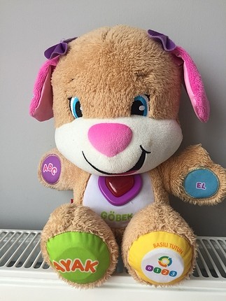 Eğitici köpekçik