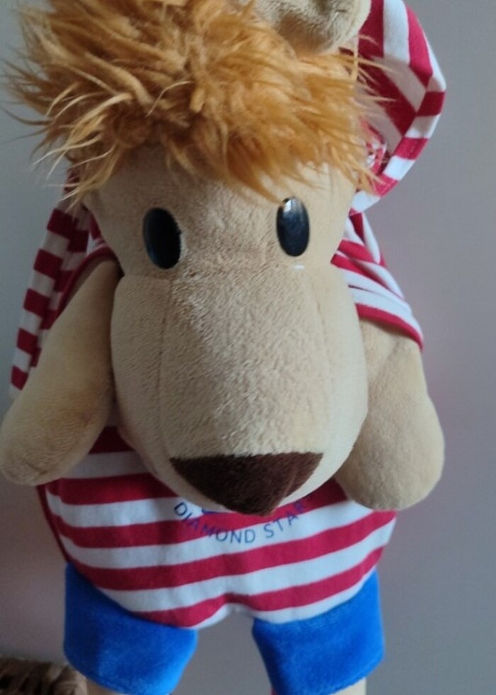 Aslan çanta - Görsel 4