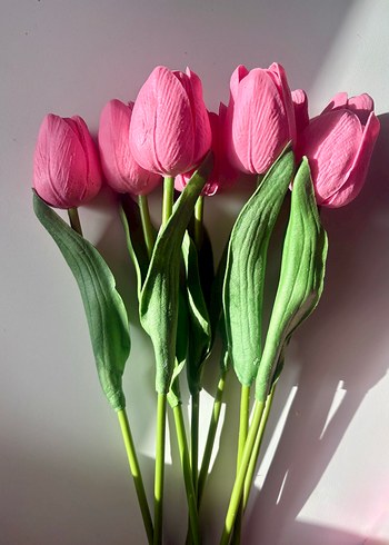 Pembe Lale Demeti Tanesi 29 tl