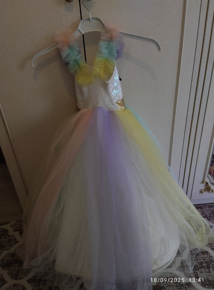 Kız Çocuk Çok Renkli Tül Elbise - Görsel 4