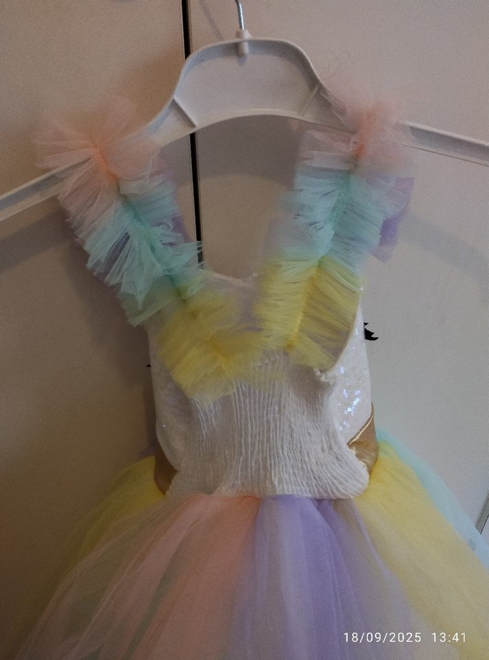 Kız Çocuk Çok Renkli Tül Elbise - Görsel 3