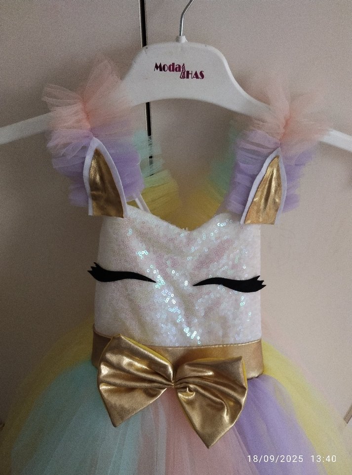 Kız Çocuk Çok Renkli Tül Elbise - Görsel 5