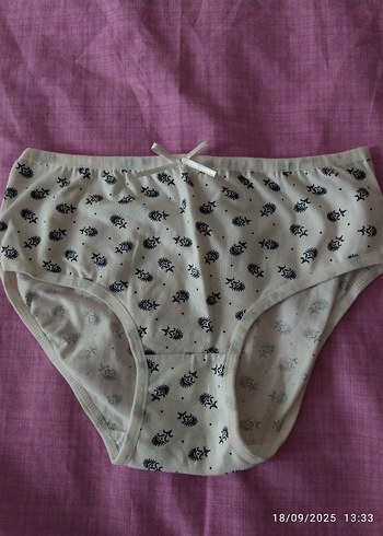 Renkli Kalp Desenli Midi Kadın Külot - Görsel 9