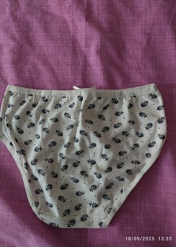 Renkli Kalp Desenli Midi Kadın Külot - Görsel 10