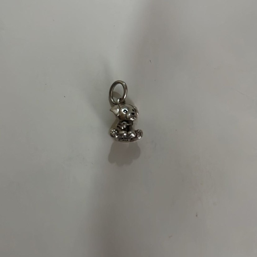 Pandora charm - Görsel 3