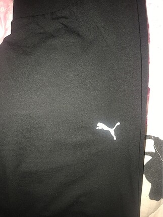 Tayt puma