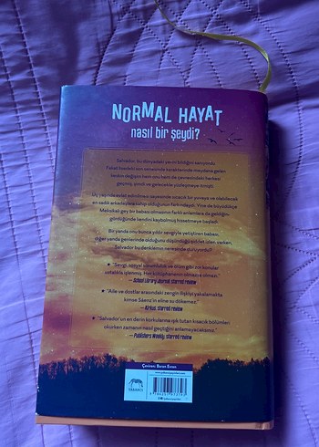 Hayatımın Akılalmaz Mantığı - Benjamin Alire Sáenz - Görsel 2