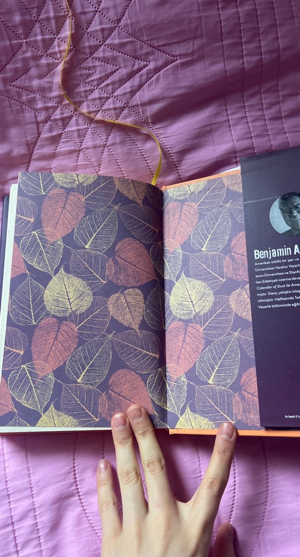 Hayatımın Akılalmaz Mantığı - Benjamin Alire Sáenz - Görsel 3