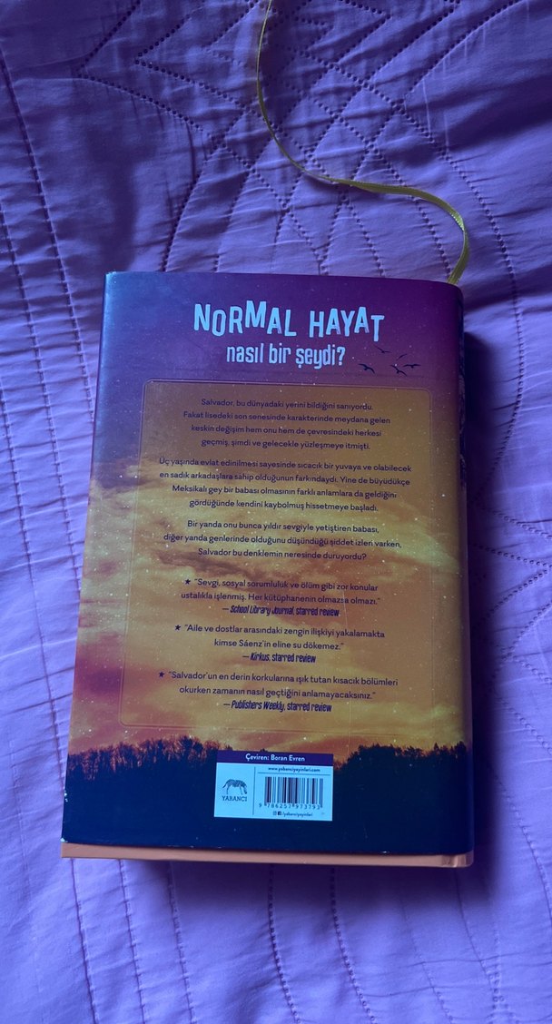 Hayatımın Akılalmaz Mantığı - Benjamin Alire Sáenz - Görsel 2