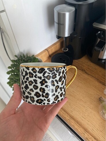 H&M Home Hm home kupa