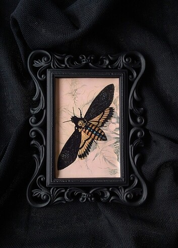 Moth (Gece Kelebeği) Gotik Çerçeve