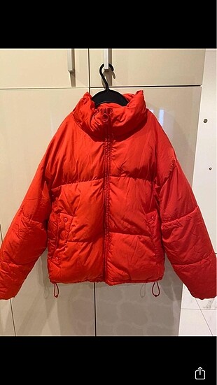 Pullbear mont