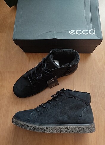 Ecco bot 