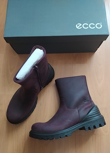 38 Beden Ecco deri bot