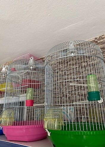 Papağan kafesi