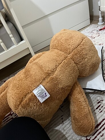  Beden Peluş ayı