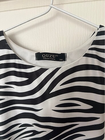 36 Beden zebra body
