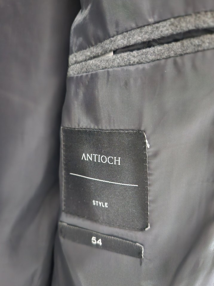 Gri Regular Fit Erkek Kaban - Görsel 4