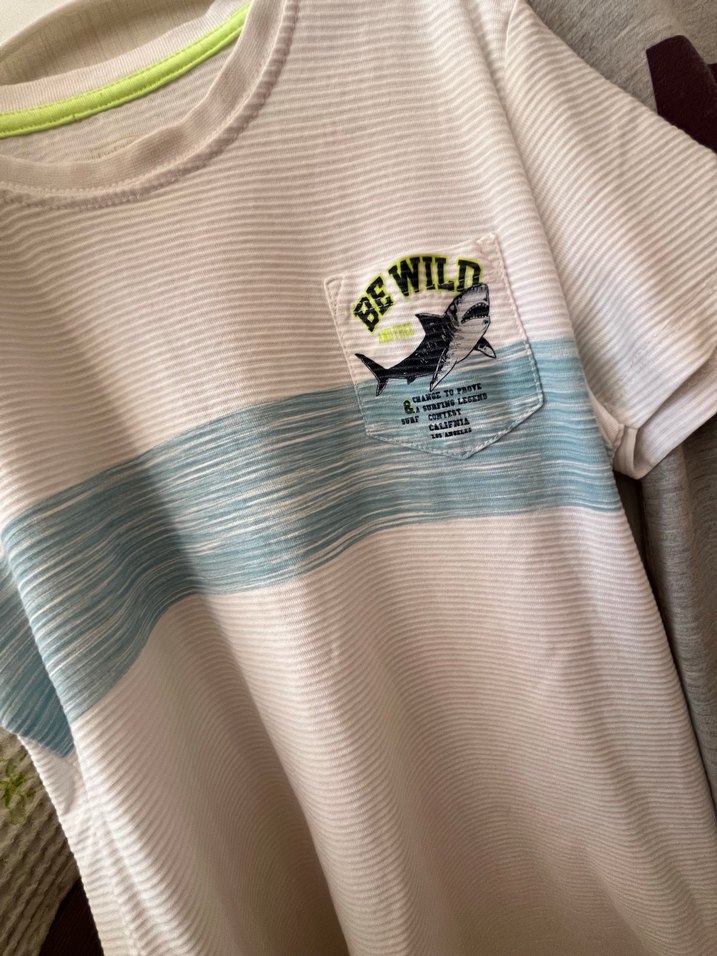 Erkek Gri Kısa Kollu Baskılı Tişört - Görsel 3