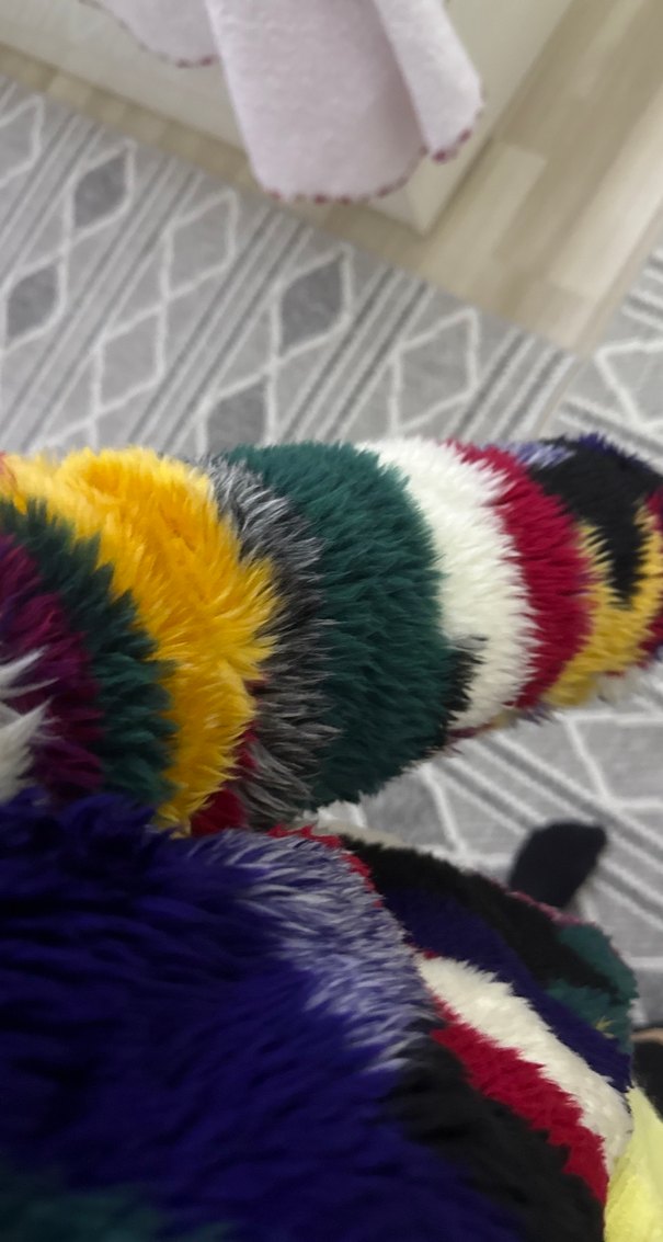 Renkli Street Wear Kadın Peluş Ceket - Görsel 3