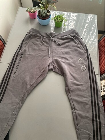 Adidas eşofman