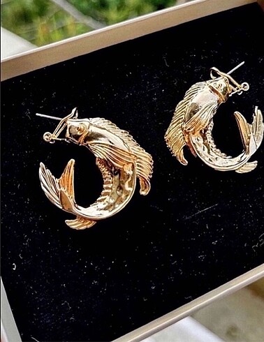 Zara Gold balık küpe