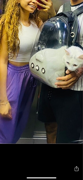 Beden siyah Renk Kedi köpek kuş taşıma çantası