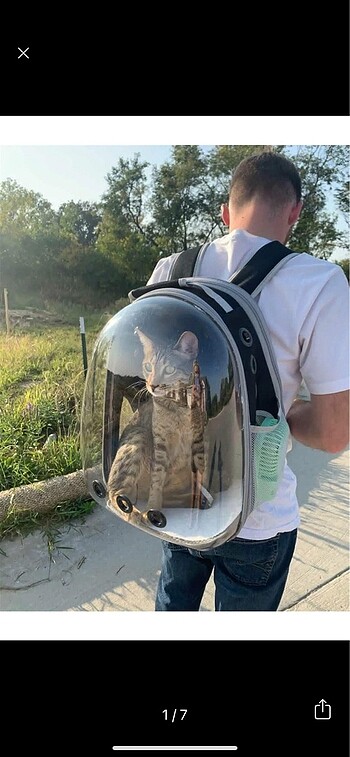 Beden Kedi köpek kuş taşıma çantası