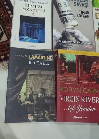  Beden Renk Kitap seti 250 Çeşitli Türkçe ve Yabancı Romanlar Seti