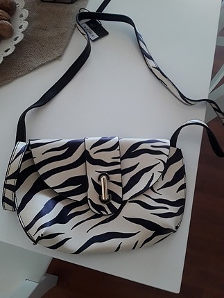 Zebra canta 