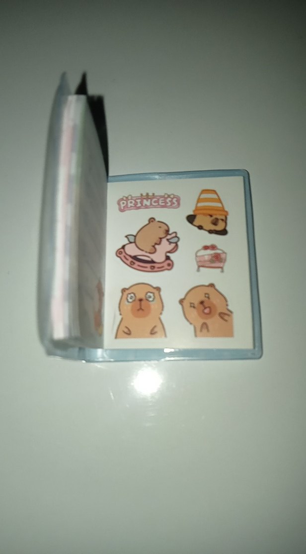 Kapibaralı Sticker Defteri - Görsel 3