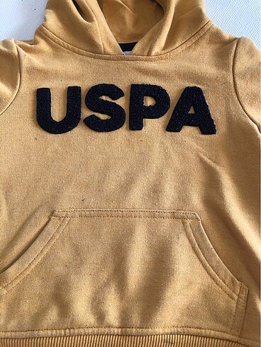 Us Polo erkek çocuk sweat