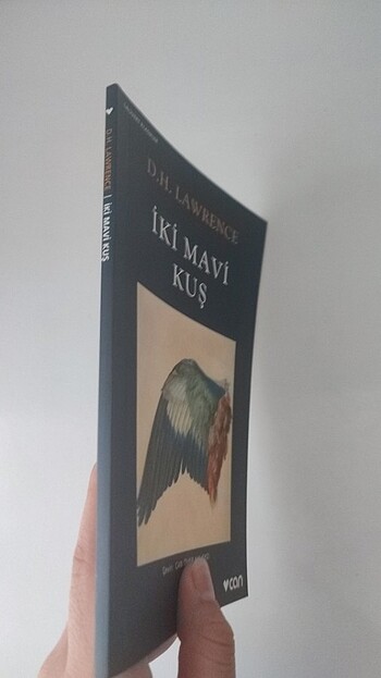 Beden Klasik kitap-İki mavi kuş
