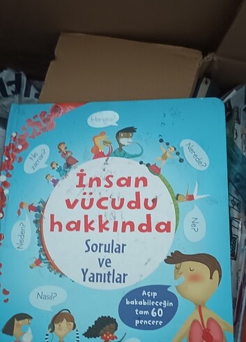 İnsan vücudu hakkında sorular ve yanıtlar 