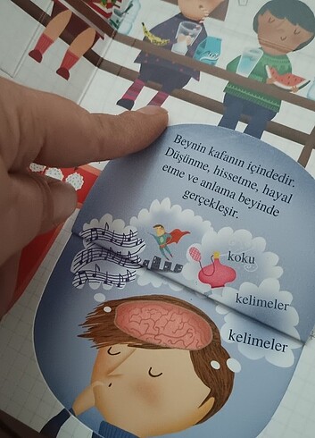 İnsan vücudu hakkında sorular ve yanıtlar - Görsel 5